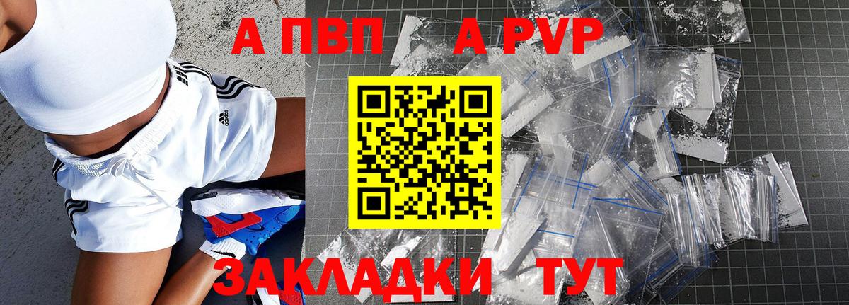 A PVP СК КРИС Котлас