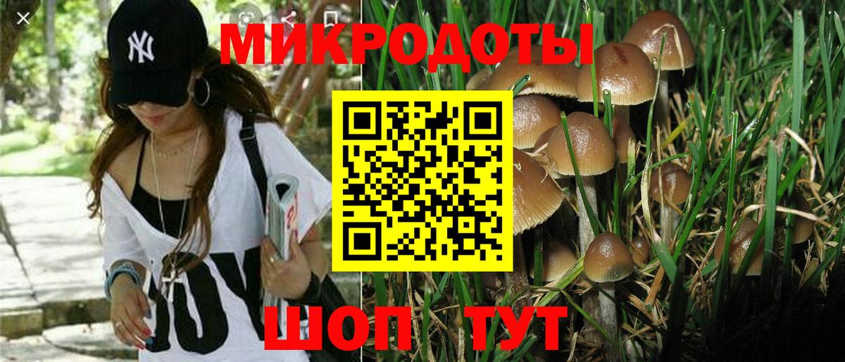 Псилоцибиновые грибы ЛСД  Галлюциногенные грибы Psilocybe  Вход с VPN  Котлас 